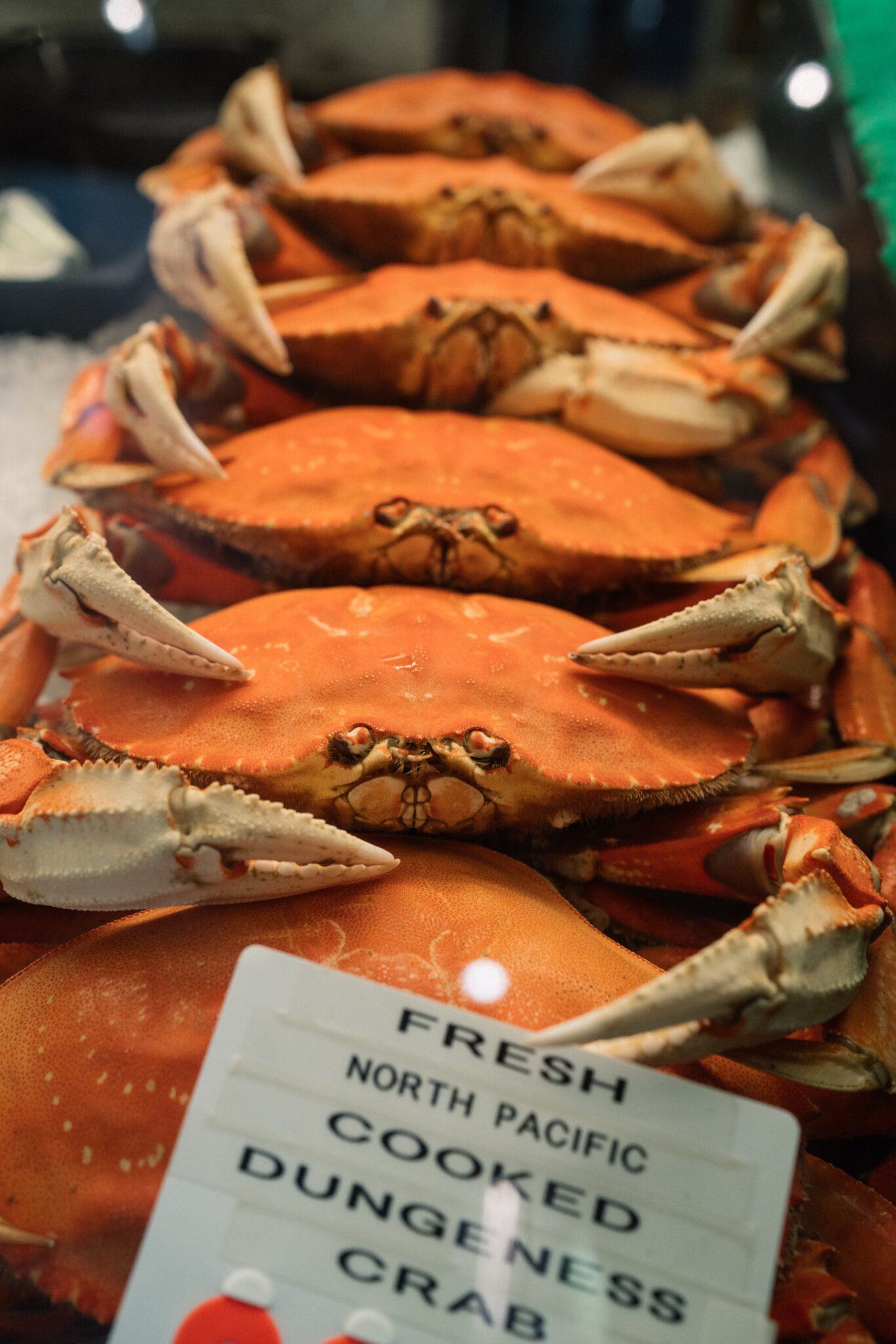 All About Catching Dungeness Crab In Newport Oregon