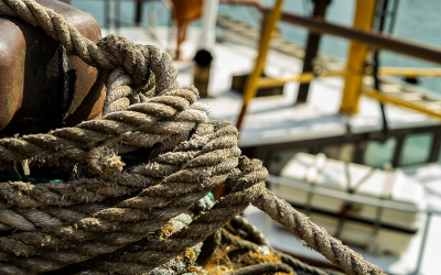 Best Fishing Knots for Deep Sea Adventures