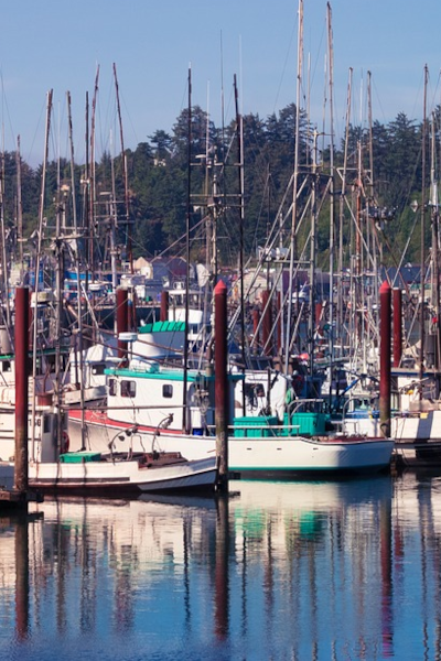 Chartering a Fishing Boat in Newport, Oregon