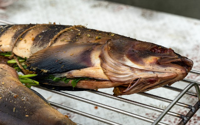 Catching Lingcod in Newport, Oregon: A Complete Guide