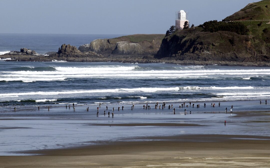 The 10 Best Attractions to See in Newport, Oregon