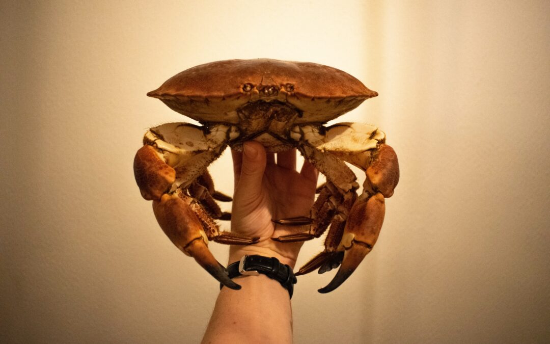 All About Catching Dungeness Crab in Newport, Oregon