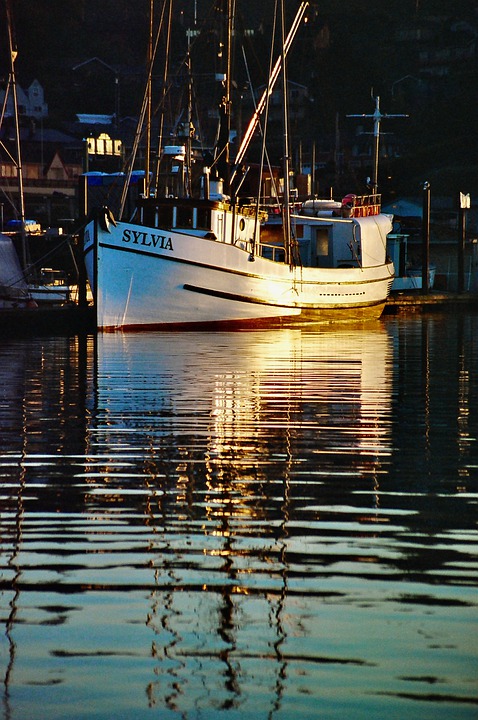 Lingcod Fishing in Newport, Oregon