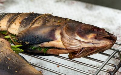 Best Ways to Cook Fresh Oregon Lingcod