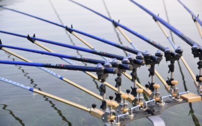 How to Prepare for Your Next Newport, Oregon Fishing Charter