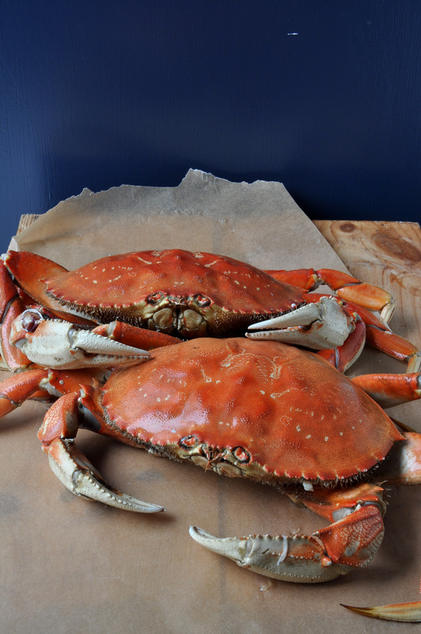 Everything You Need to Know About Dungeness Crab