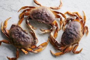 Everything You Need to Know About Dungeness Crab