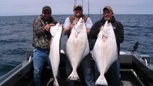 Everything You Need to Know About Catching Halibut￼