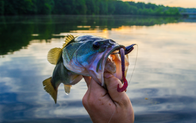 Newport Oregon Fishing Calendar: When to Catch Different Species!￼