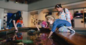 Oregon Coast Aquarium