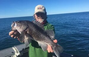 Fish to Catch In Newport Oregon