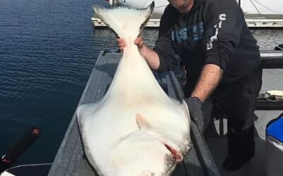 Funnest Fish to Catch In Newport Oregon