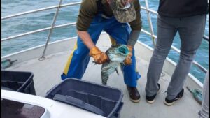 Newport Oregon Deep Sea Fishing Charters