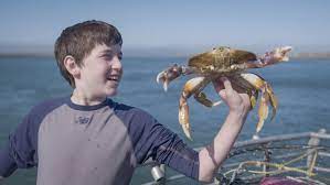 Newport Oregon Crab Fishing