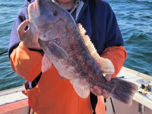 Fishing Charters in Newport