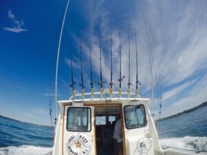 Fishing Charters in Newport