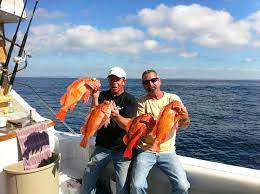 Why Book Oregon Offshore Fishing Charters for Your Next Adventure