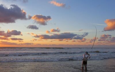 The Ultimate Guide to Shoreline Fishing in Newport