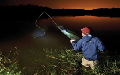 The Ultimate Guide to Newport Night Fishing