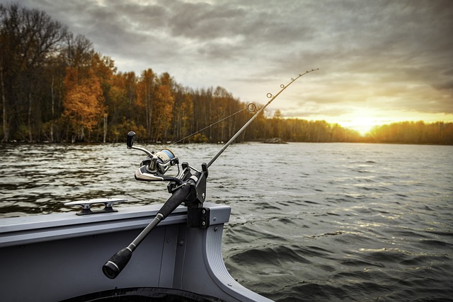 fishing calendar for Newport