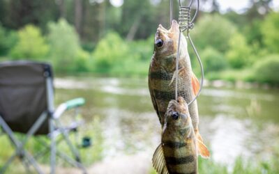 Eco-Friendly Fishing in Newport: Sustainability on the Oregon Coast