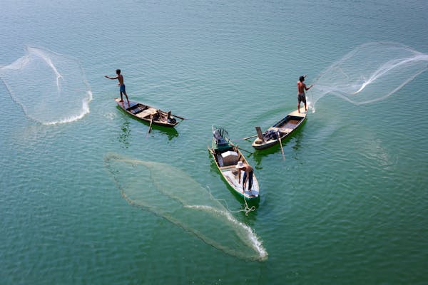 sustainable fishing in Newport