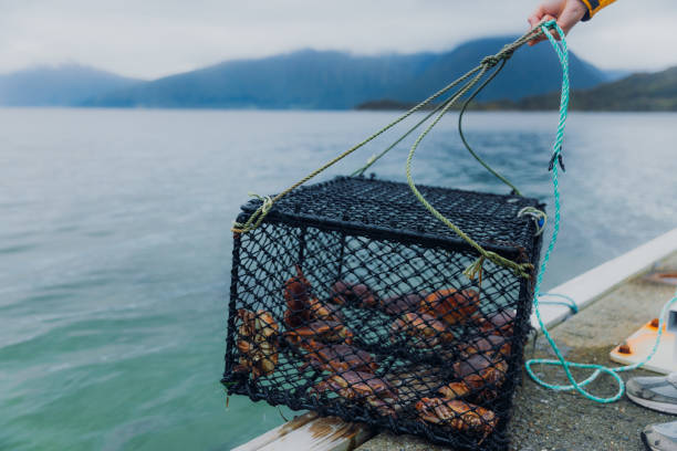 crab fishing