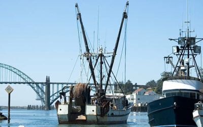 A Complete Guide to Fishing in Newport, Oregon 2025: Best Spots & Seasons