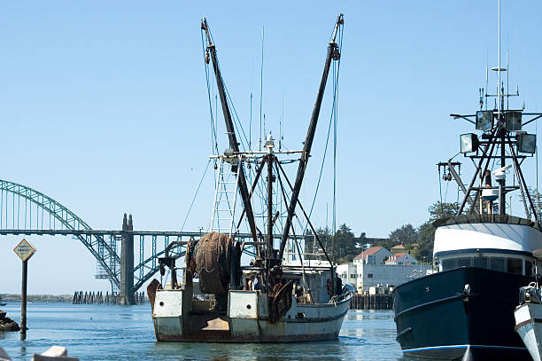 A Complete Guide to Fishing in Newport, Oregon 2025: Best Spots & Seasons