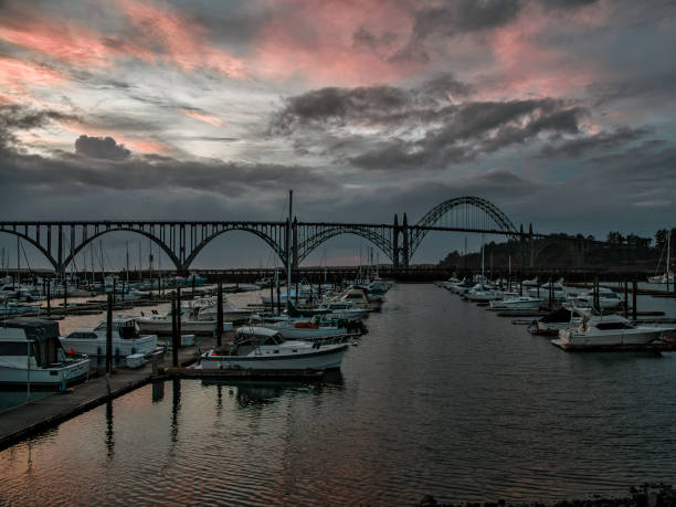 fishing in Newport