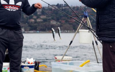 Newport, Oregon Fishing Regulations Explained: What Species You Can Keep and When