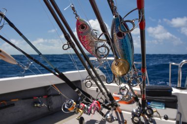 Best Times of Year to Book a Newport Tuna Fishing Trip