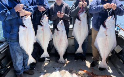 What to Expect on Your First Newport Fishing Charter