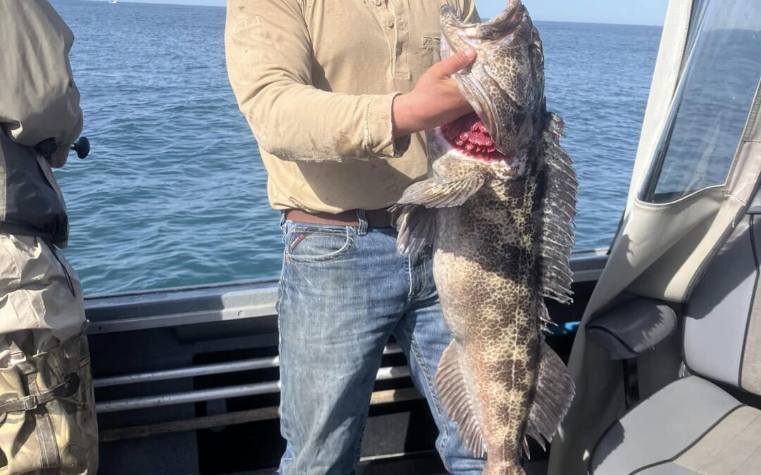 7 Must-Have Lures for Newport’s Lingcod Season