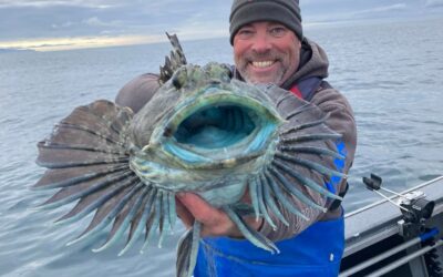 Newport’s Fall Bounty: What to Fish for in October