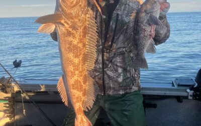 Hunting for Goliaths: The Thrill of Trophy Lingcod Fishing in Newport