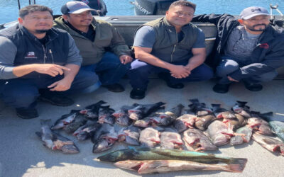 The Ultimate Guide to Ocean Fishing in Newport, Oregon