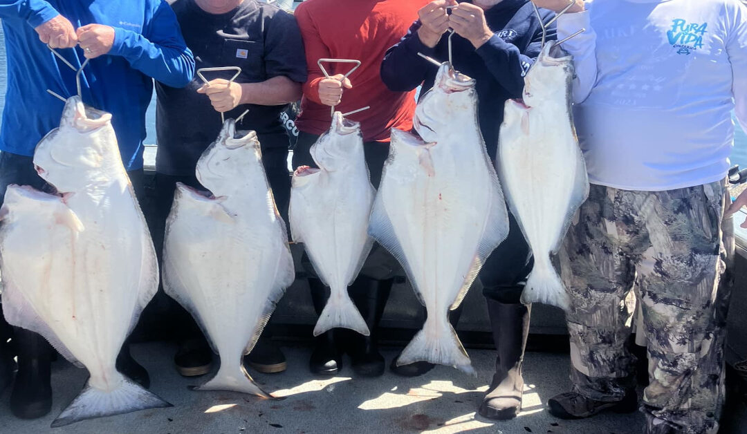 Halibut Fishing in Newport: Everything You Need to Know