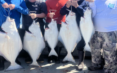 Halibut Fishing in Newport: Everything You Need to Know