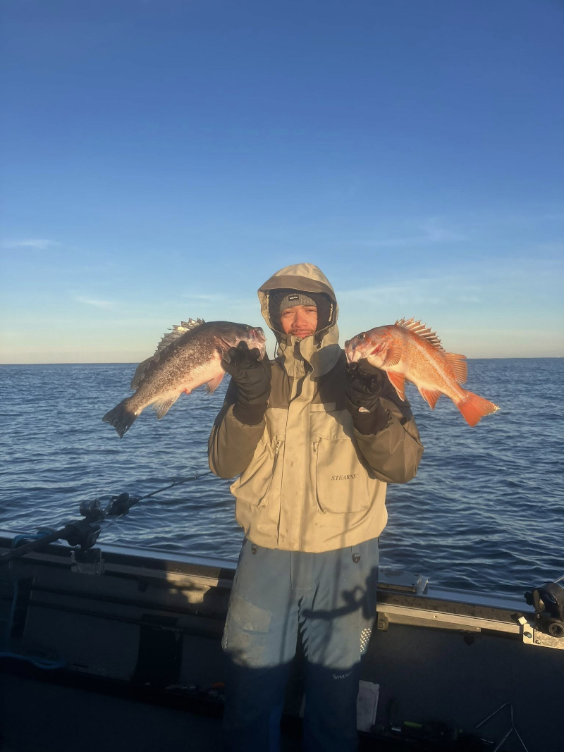 A fisherman on a boat holding up a Black Rockfish in one hand and a bright orange Canary Rockfish in the other.