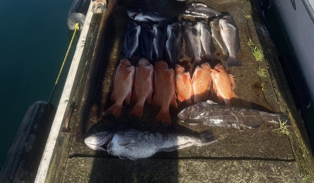 Top 5 Rockfish Species You’ll Catch in Oregon