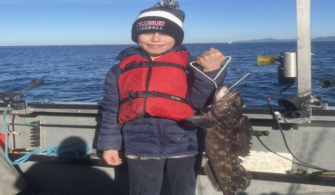 A Guide to Lingcod Fishing: The Dragons of the Deep