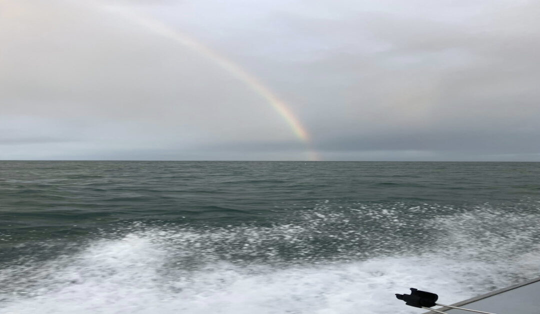 What to Expect on a Newport Bottom Fishing Trip