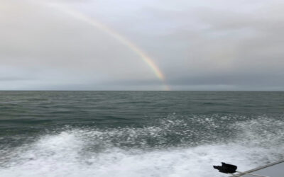 What to Expect on a Newport Bottom Fishing Trip
