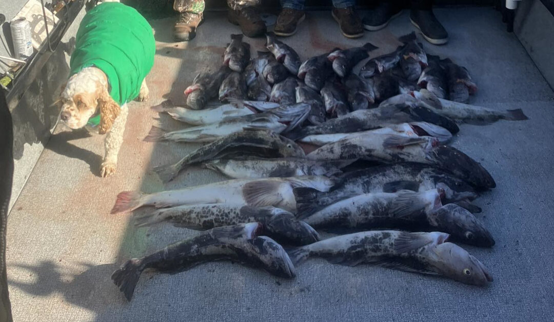 The Best Time for Salmon Fishing in Newport