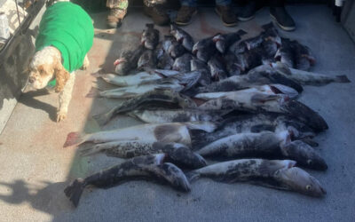 The Best Time for Salmon Fishing in Newport