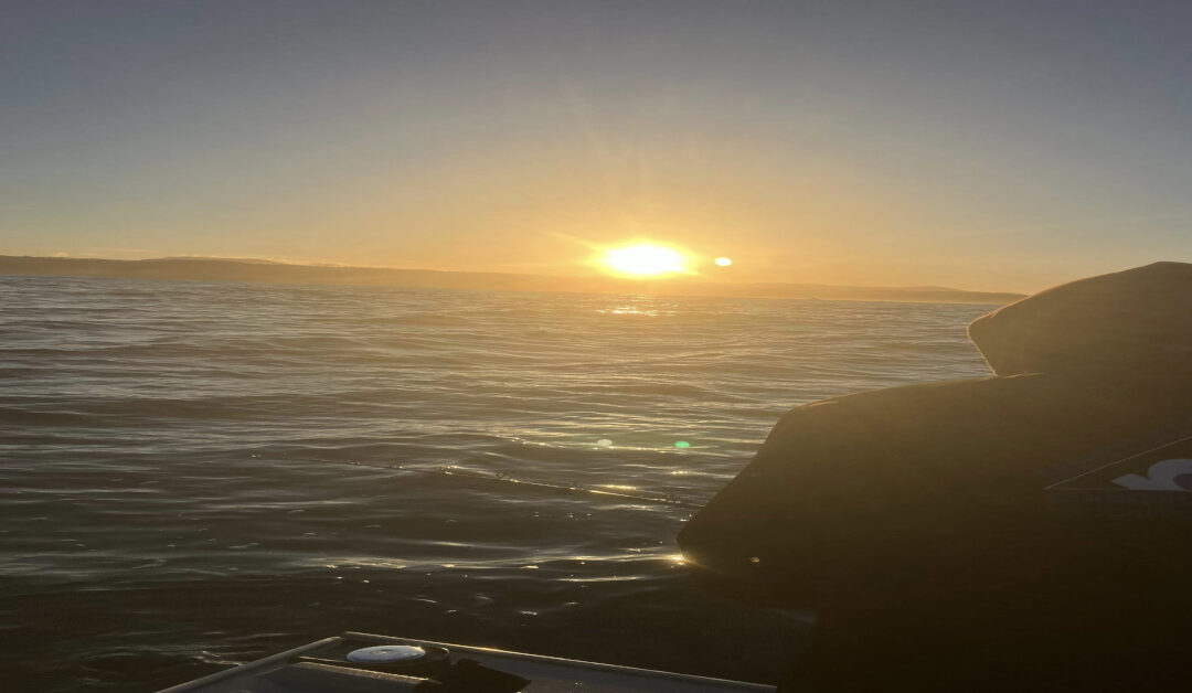 Deep Sea Fishing vs. Bay Fishing: Which is Right for You?