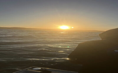 Deep Sea Fishing vs. Bay Fishing: Which is Right for You?
