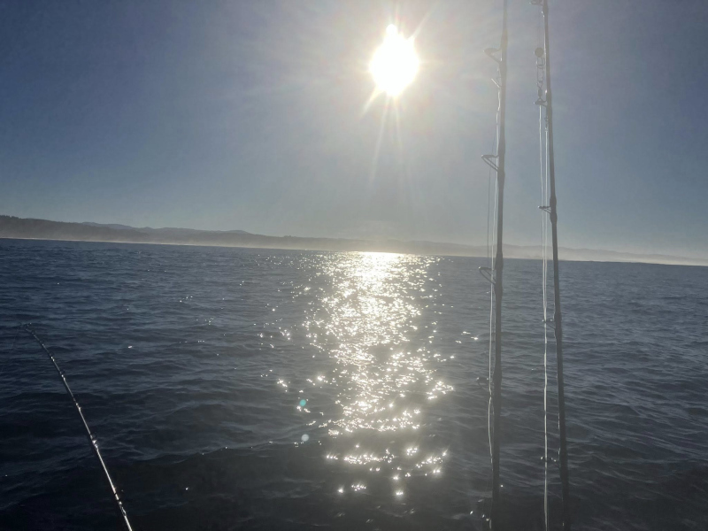 The-Yaquina-Bay-Treasure