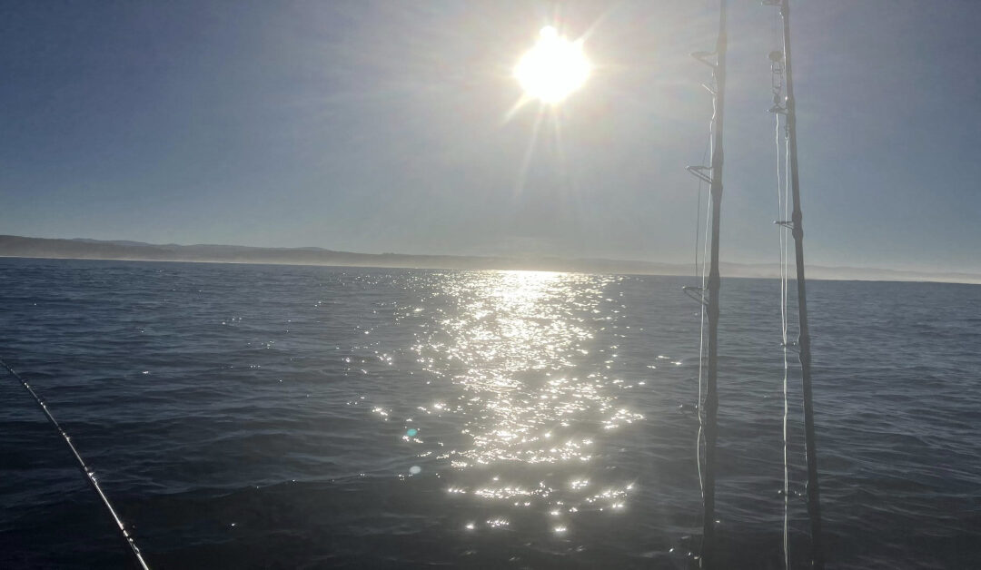 Exploring the Historic Yaquina Bay